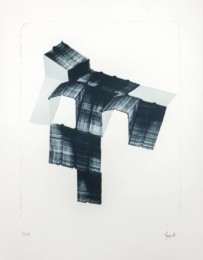 Zinc roof by Baptiste Meyniel at Le Garage Litho