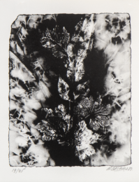 Small Original “Sernam” by Alexandre Bavard at Le Garage Litho