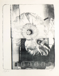 Fragments 01 by Miyouki Nakajima at Le Garage Litho