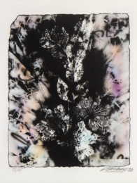 “Small “Sernam” Enhanced” by Alexandre Bavard at Le Garage Litho