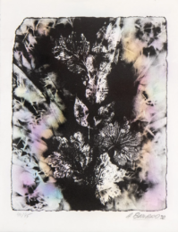 “Small “Sernam” Enhanced” by Alexandre Bavard at Le Garage Litho