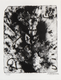 “Small “Sernam” Enhanced” by Alexandre Bavard at Le Garage Litho