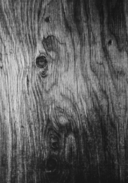 Wooden Wall / Screen Saver by Ben Cain at Trykkeriet