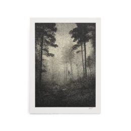 Walk With Me by Danny Larsen at RedHouse Gallery