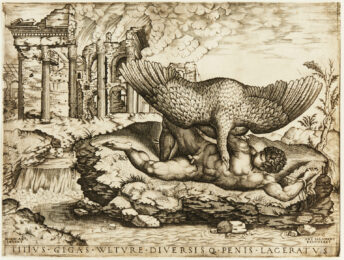 Tityus by Nicolas Beatrizet at Harris Schrank Fine Prints