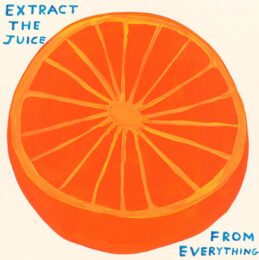 Extract The Juice by David Shrigley at Clifton Gallery