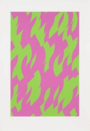 Magenta and Green by Bridget Riley at Clifton Gallery