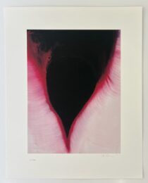 The Dark by Anish Kapoor at Dellasposa