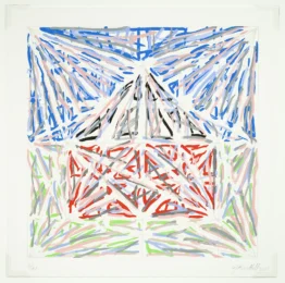 Lines (House Portfolio) by Jennifer Bartlett at Douglas Flanders and Associates
