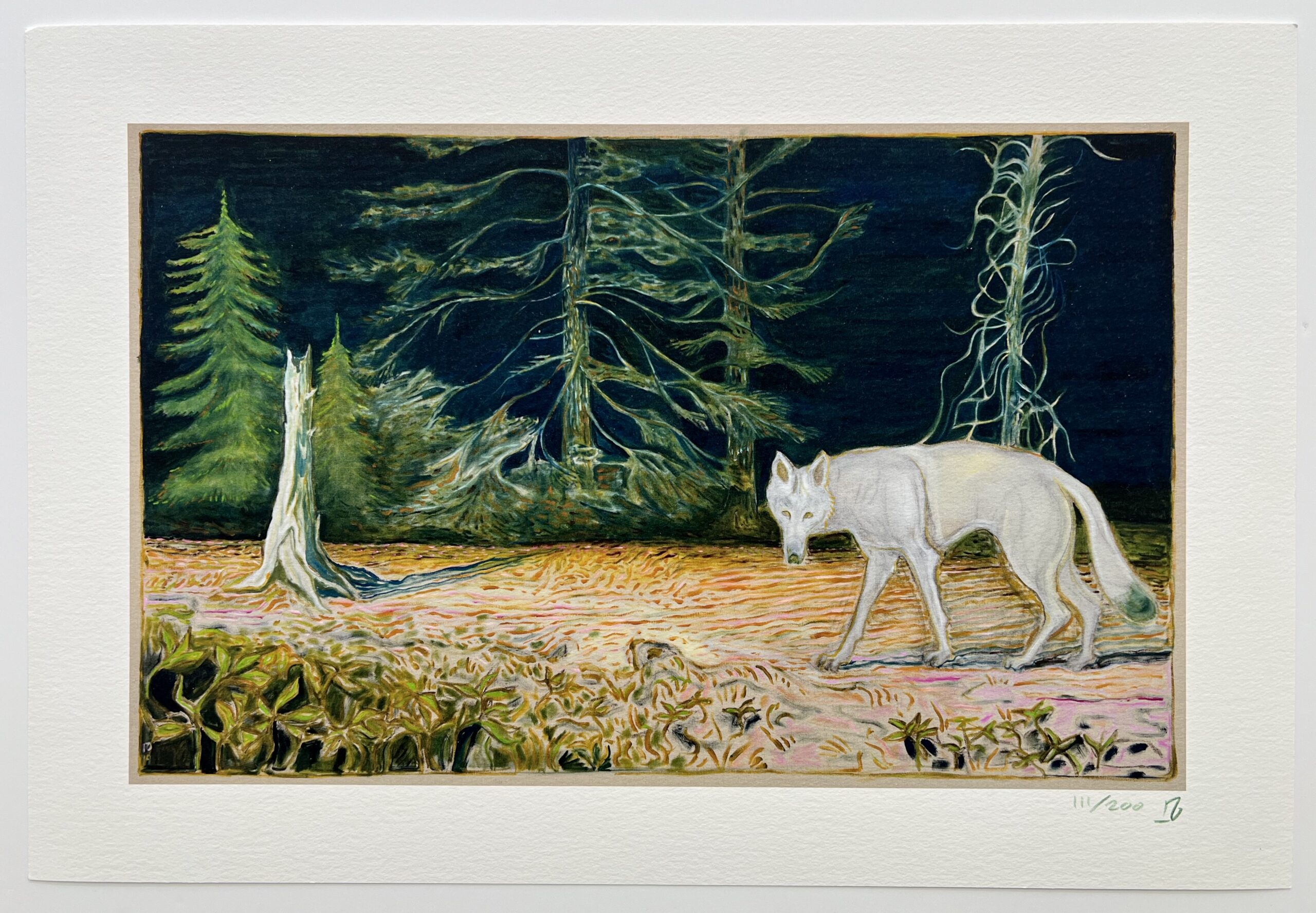 White Wolf by Billy Childish