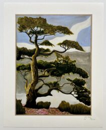 Tree – Seattle by Billy Childish at Dellasposa