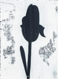 Blue Tulip by Sari Davidson at Oehme Graphics