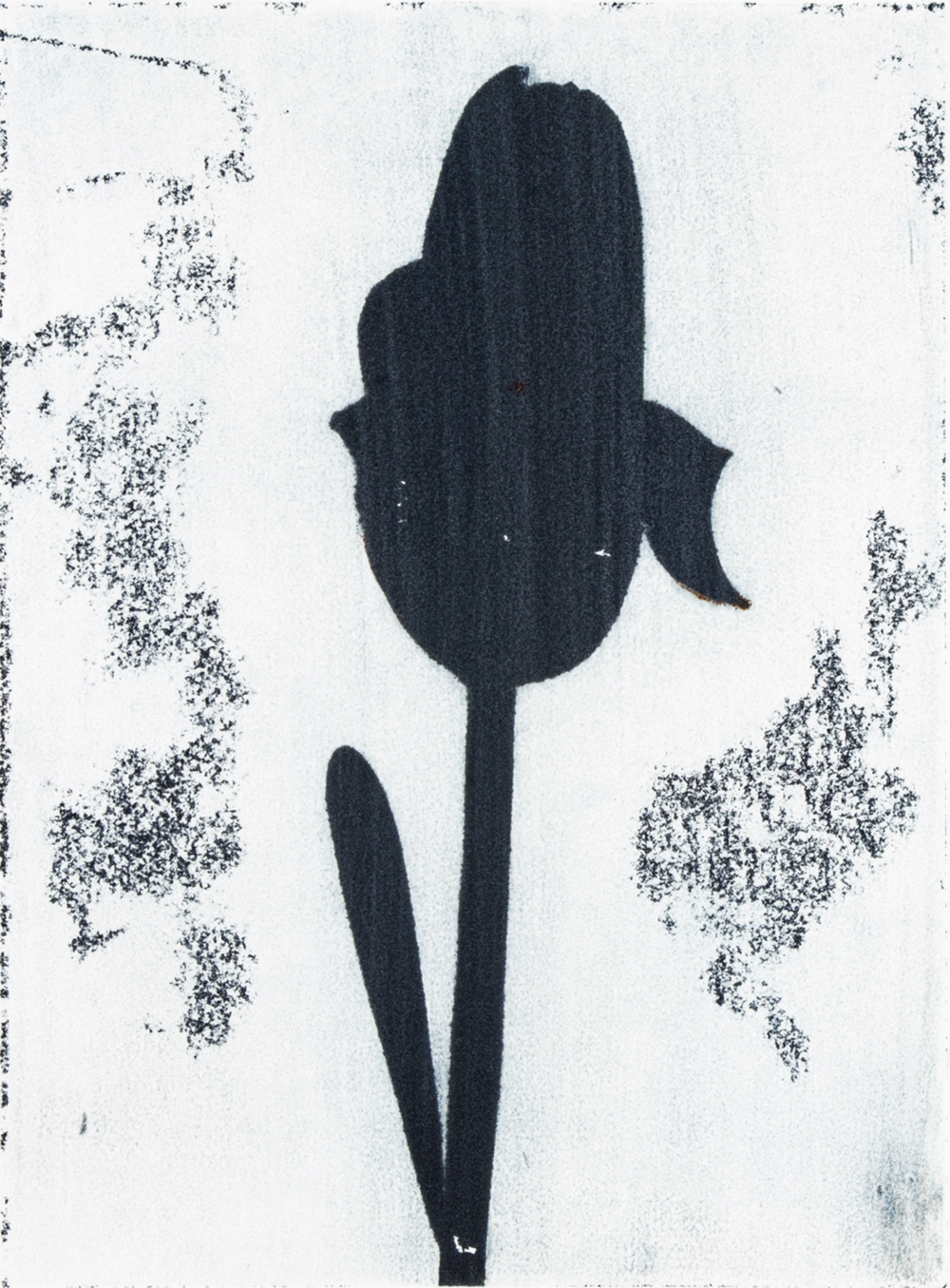 Blue Tulip by Sari Davidson