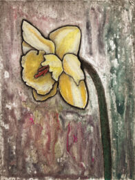 Daffodil 5 by Sari Davidson at Oehme Graphics