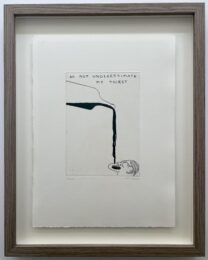 Do Not Underestimate My Thirst by David Shrigley at Dellasposa