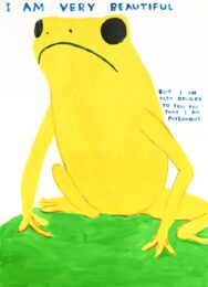 I am Very Beautiful by David Shrigley at Dellasposa