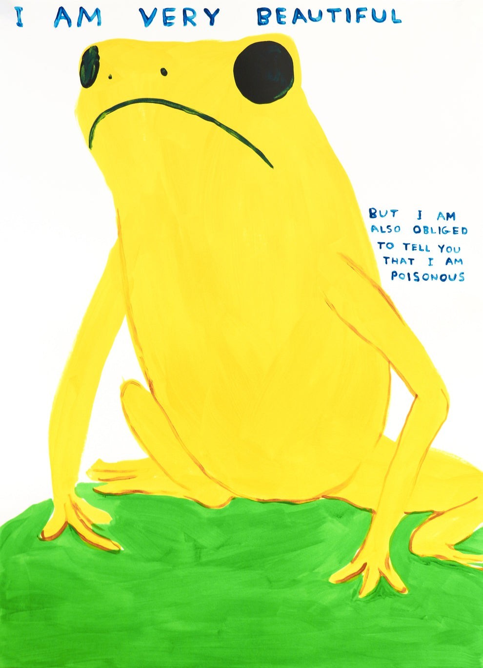 I am Very Beautiful by David Shrigley