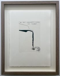 Do Not Underestimate My Thirst by David Shrigley at Dellasposa