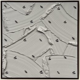 Horseplay by Werner Bronkhorst at Dellasposa
