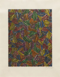 Cicada ii by Jasper Johns at Susan Sheehan Gallery