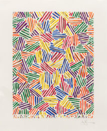 Cicada by Jasper Johns at Susan Sheehan Gallery
