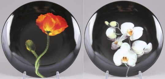 Poppy & Orchid by Robert Mapplethorpe at Michael Lisi/Contemporary Art