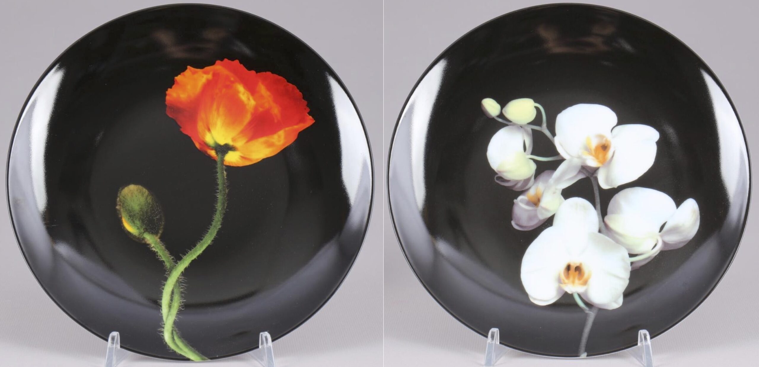 Poppy & Orchid by Robert Mapplethorpe
