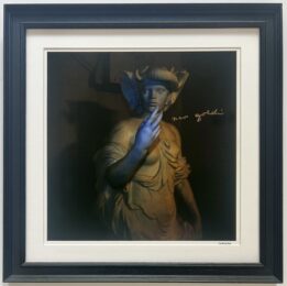 Africa, Pavillon Dufour, Versailles by Nan Goldin at Dellasposa
