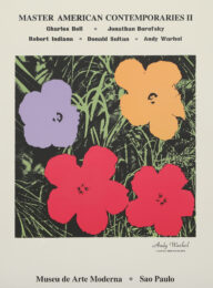 Poppy Flowers for the Museu de Arte de Moderna, Sao Paulo by Andy Warhol (after) at RoGallery