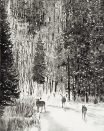 Snow Stroll 1 by Sari Davidson at Oehme Graphics