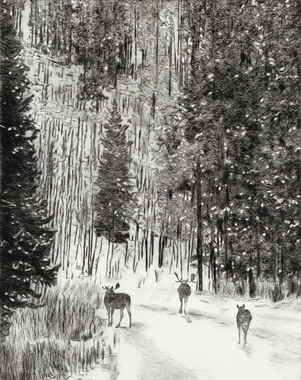 Snow Stroll 1 by Sari Davidson