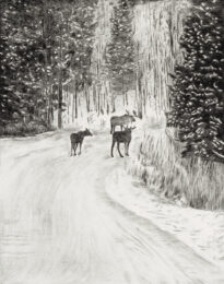Snow Stroll 2 by Sari Davidson at Oehme Graphics