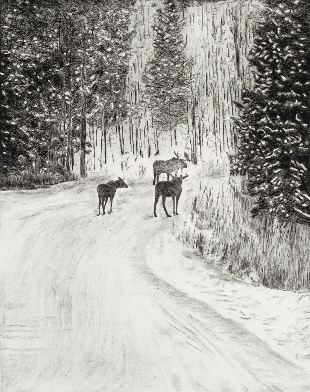 Snow Stroll 2 by Sari Davidson