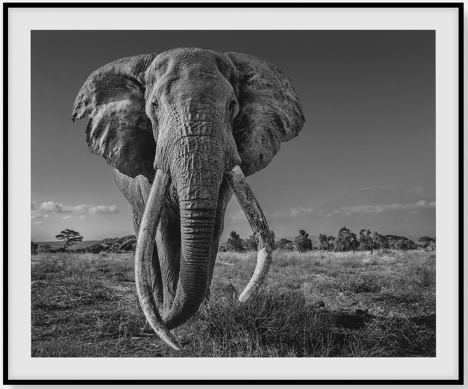 Space For Giants by David Yarrow