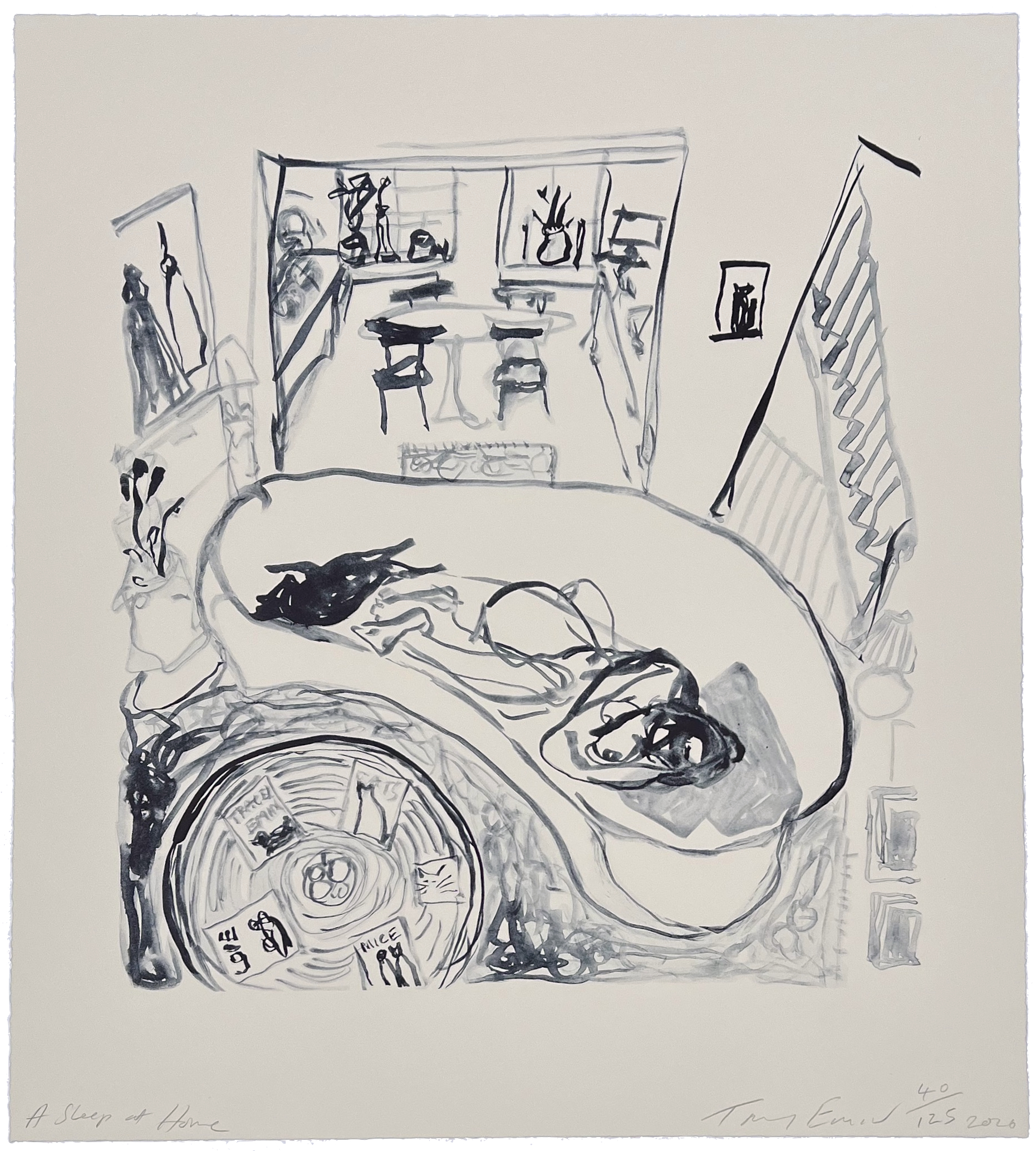 A Sleep At Home by Tracey Emin