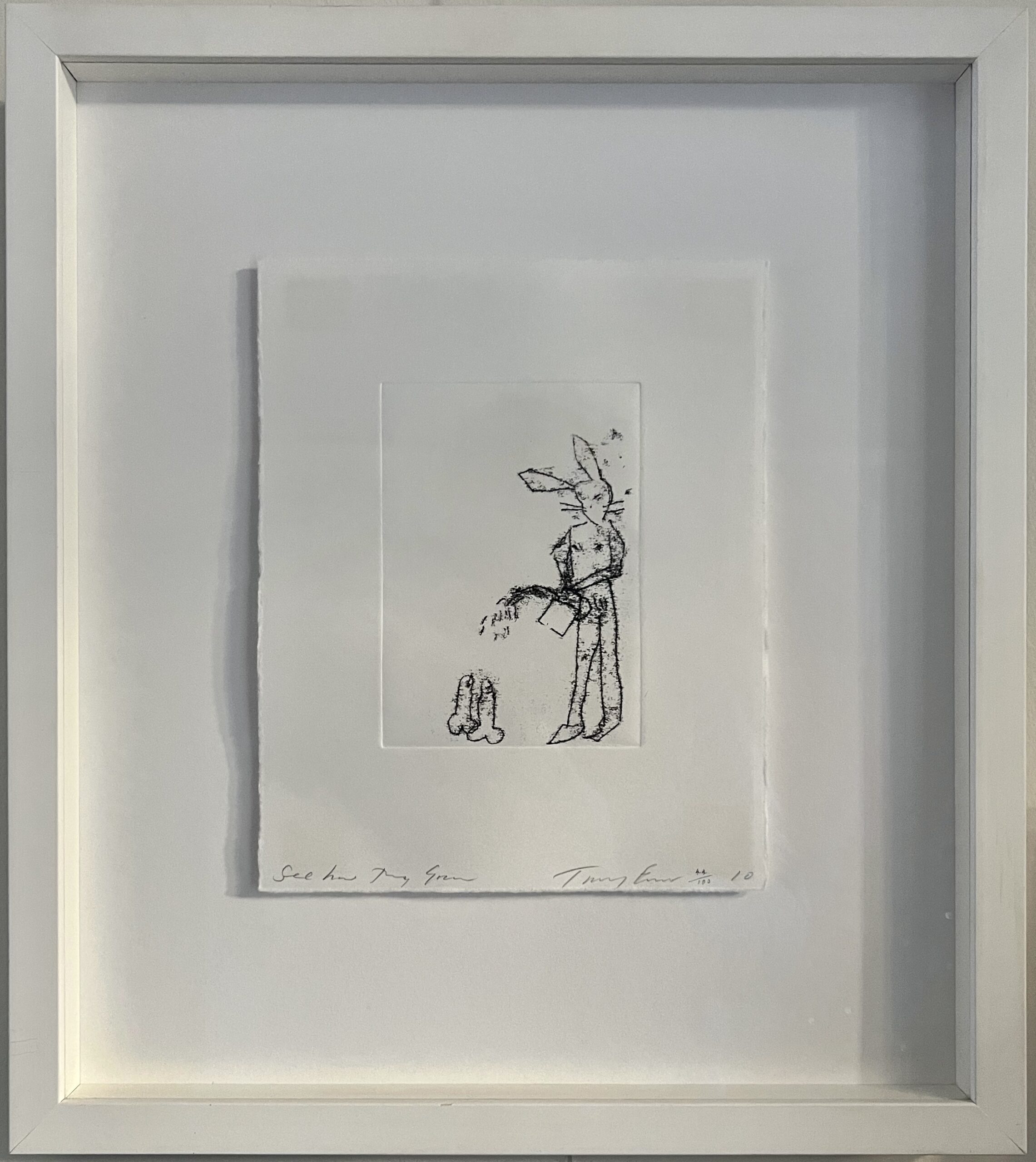 See How They Grow by Tracey Emin