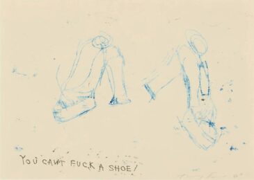 You Can’t Fuck A Shoe by Tracey Emin at Clifton Gallery