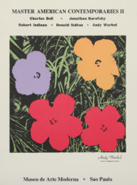 Poppy Flowers for the Museu de Arte de Moderna, Sao Paulo by Andy Warhol (after) at RoGallery