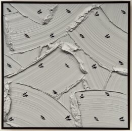 Horseplay by Werner Bronkhorst at Dellasposa