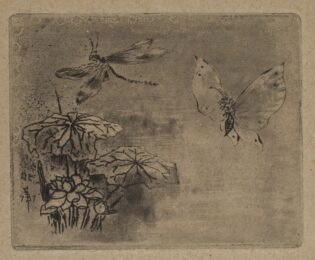 Ex-libris : Papillon et Libellule by Felix Buhot at Sarah Sauvin