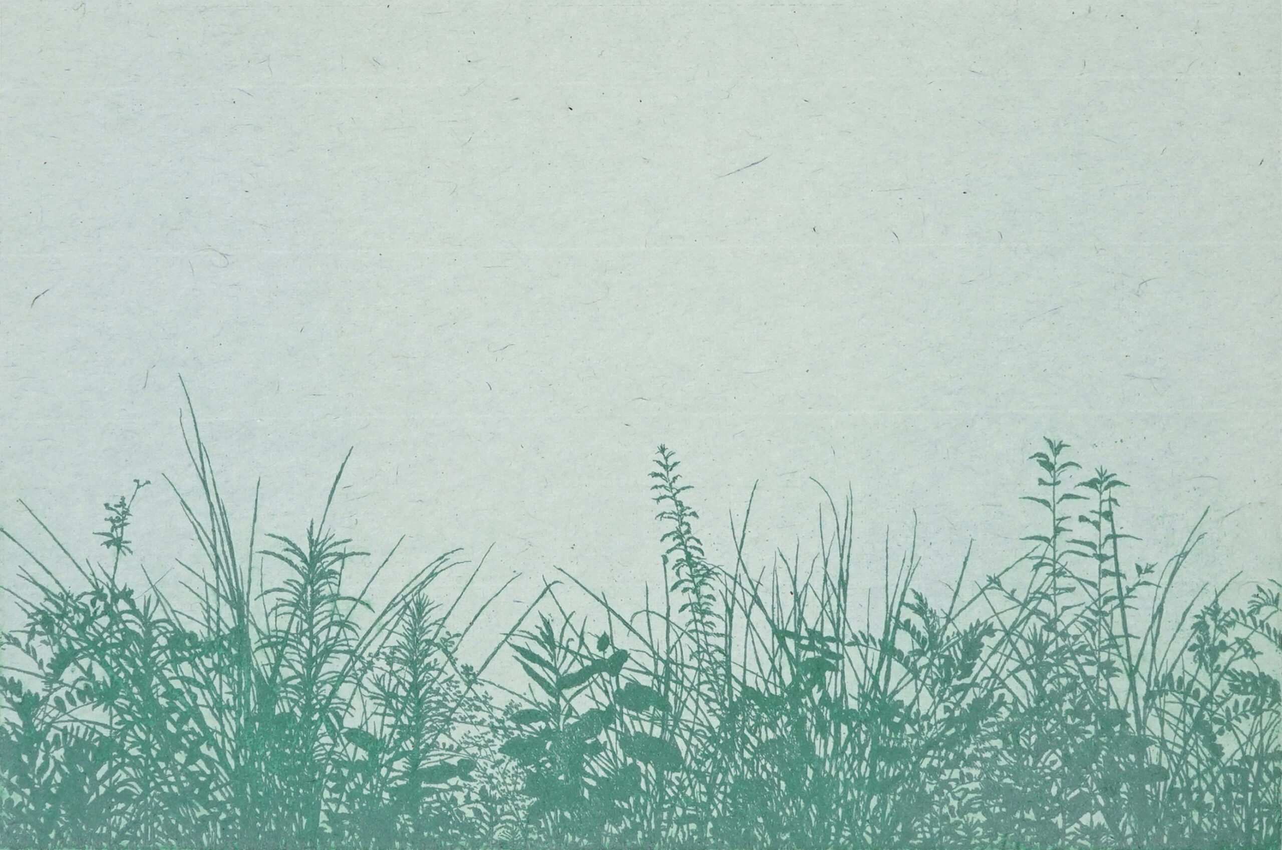 plants by Tokuro Sakamoto