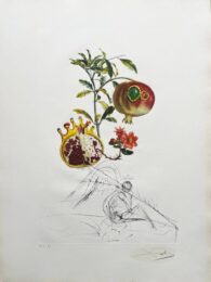 Grenade et l’ange (Pomegranate and Angel) by Salvador Dalí at Epicentrum Art Gallery