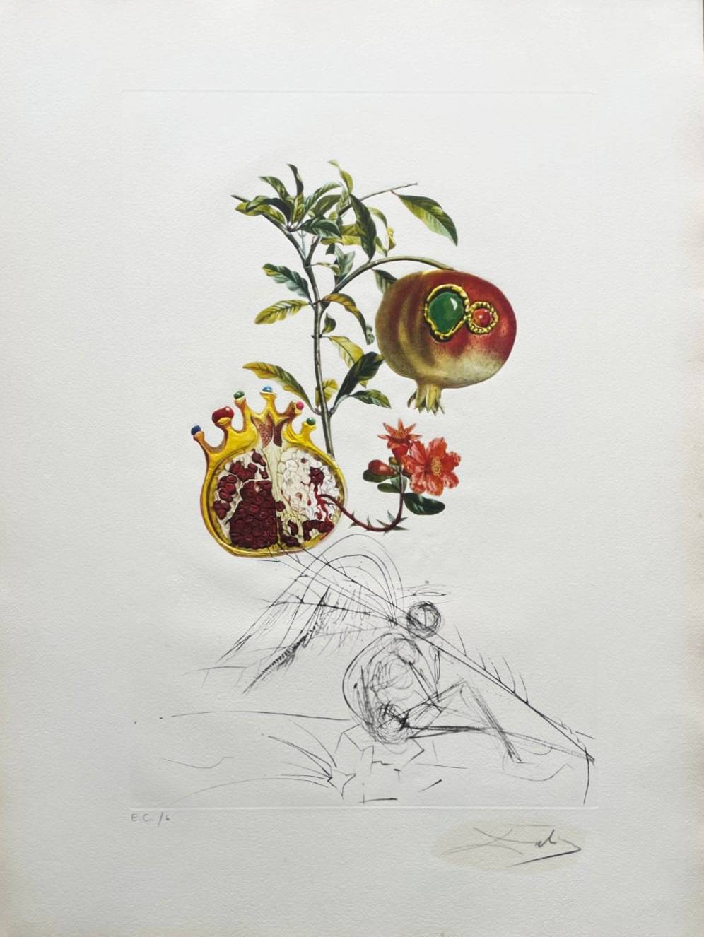Grenade et l’ange (Pomegranate and Angel) by Salvador Dalí