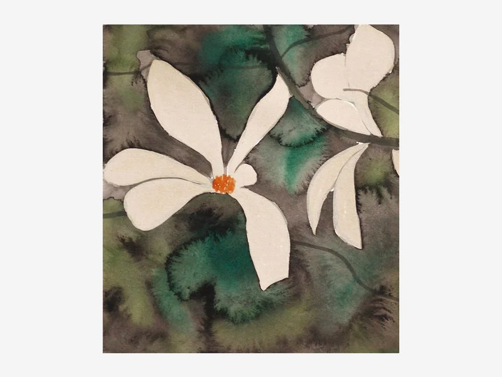 Magnolia by Chloe Freemantle