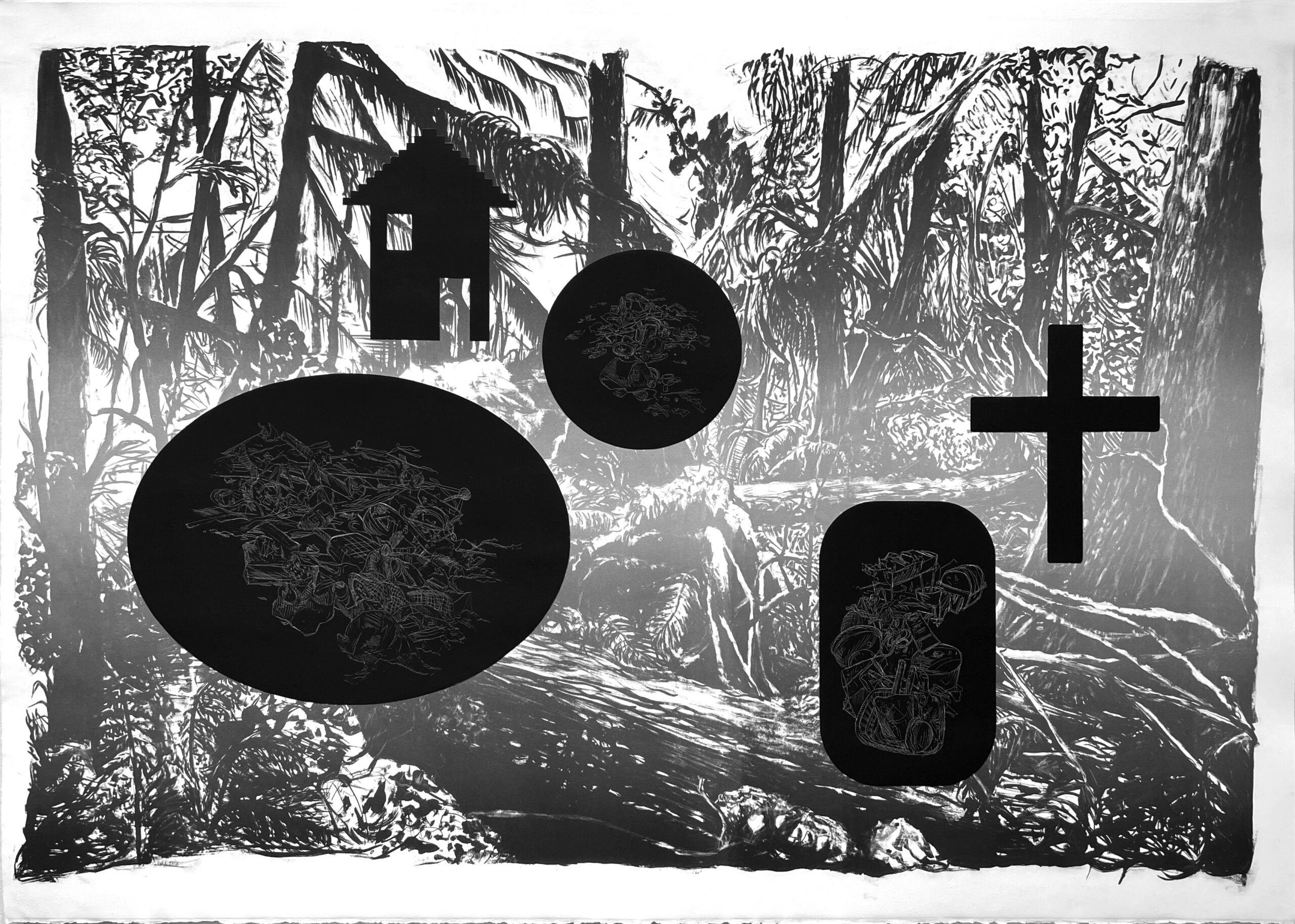 Disappearance:  Icons of Excess by Hollis Hammonds