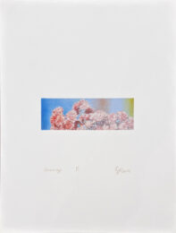 Hommage by Lawrence Gipe at Douglas Flanders and Associates