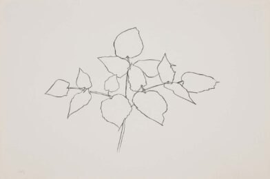 Woodland Plant by Ellsworth Kelly at Susan Sheehan Gallery
