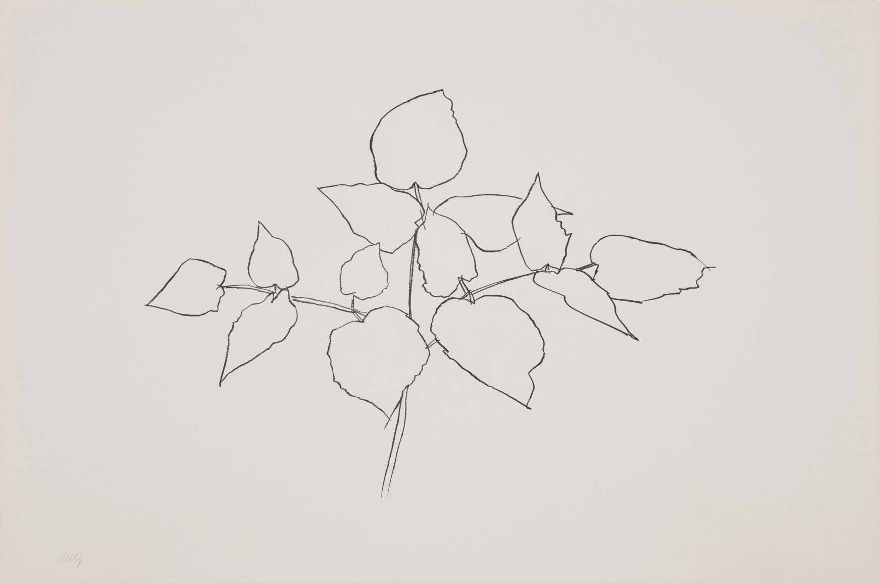 Woodland Plant by Ellsworth Kelly