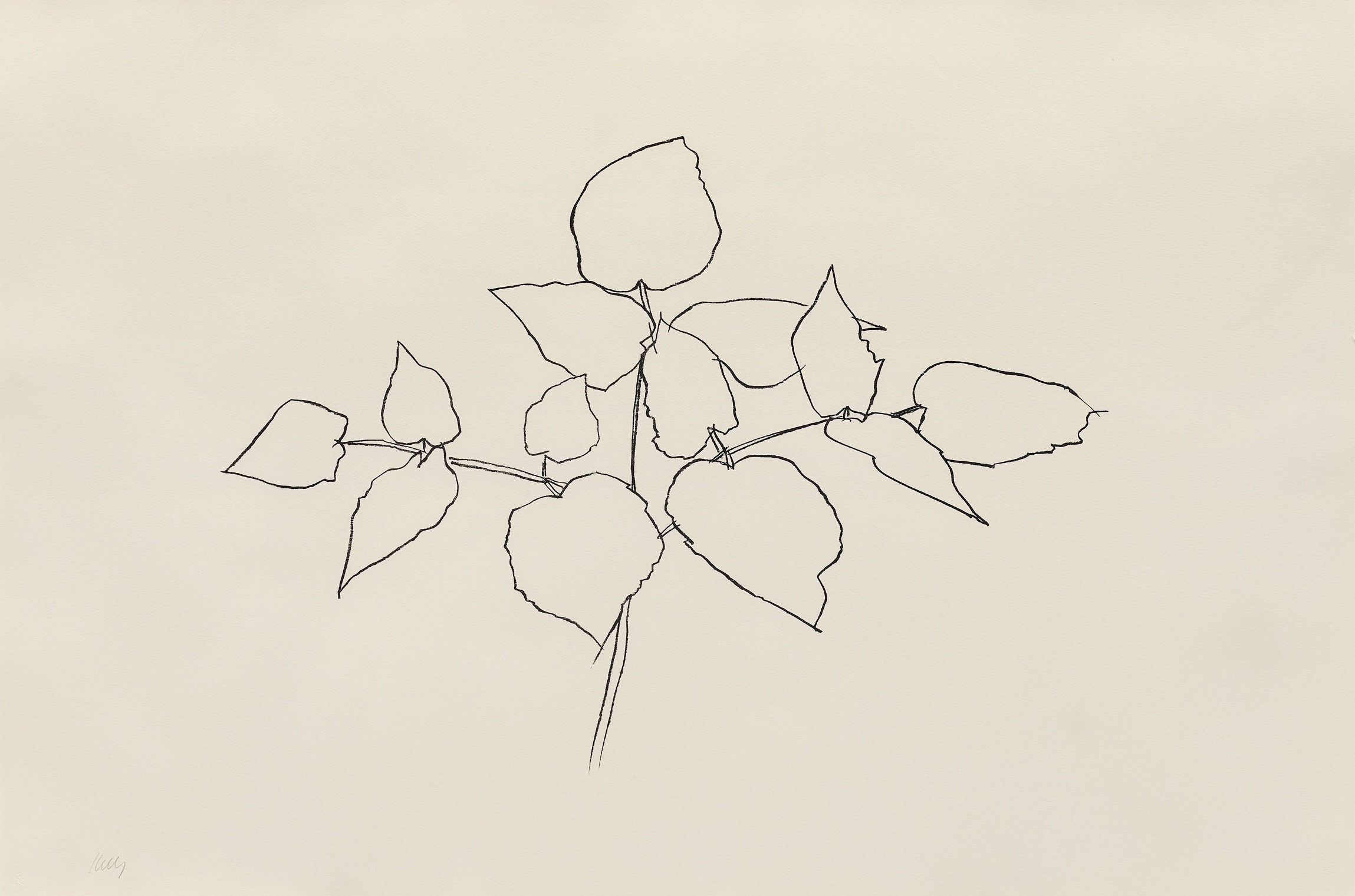 Woodland Plant by Ellsworth Kelly