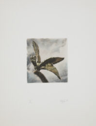 Wings by Lawrence Gipe at Douglas Flanders and Associates